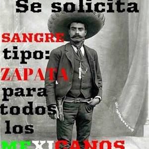 Meet your Posher, Fdjesus